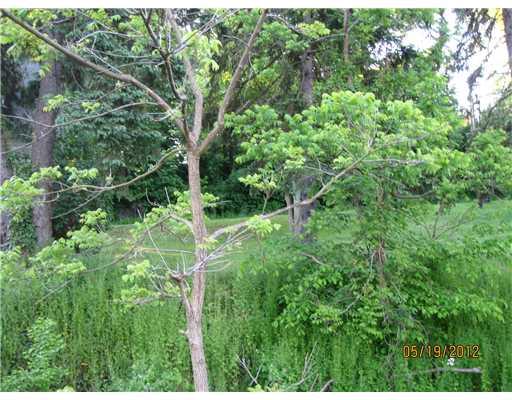 6638 Old Rte 8 North Valencia, PA 16059 - Photo 14 of 14 Land/Lot.