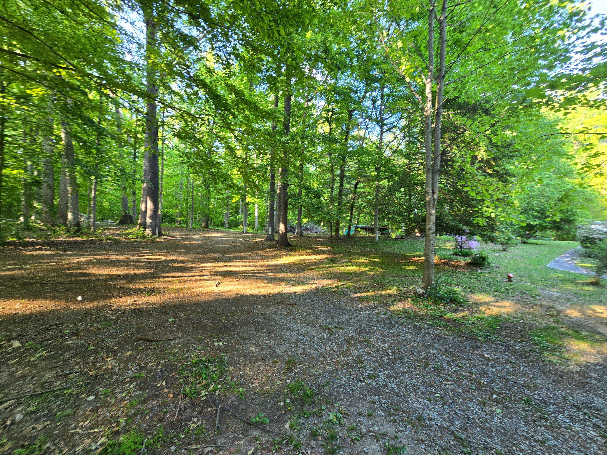 403 Union Church Road Townsend, DE 19734 - Photo 60 of 73 Backyard view from pole barn
