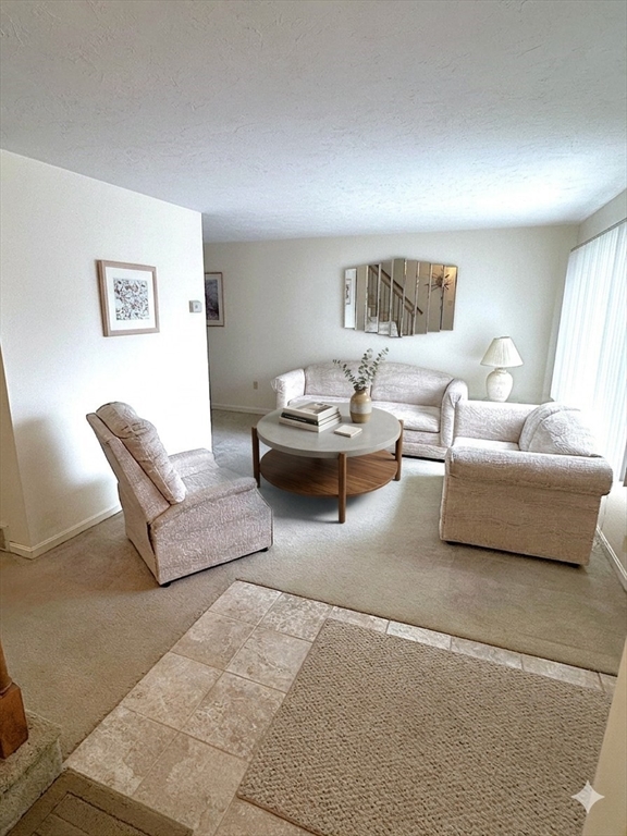 1707 Irving Road, Unit 1707 Randolph, MA 02368 - Photo 3 of 21