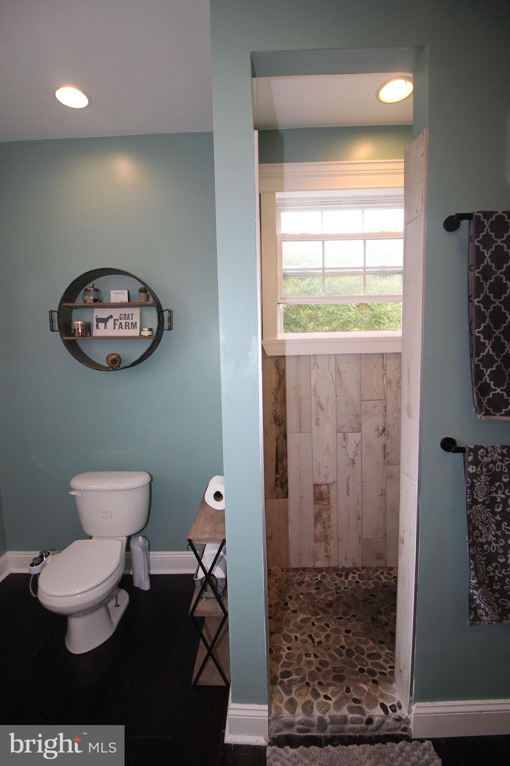 555 Fingerboard Schoolhouse Road Earleville, MD 21919 - Photo 28 of 69 Master Shower