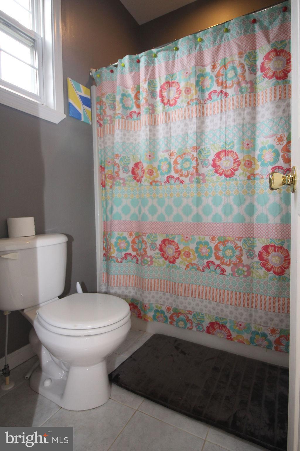 555 Fingerboard Schoolhouse Road Earleville, MD 21919 - Photo 35 of 69 Jack & Jill Full Bath