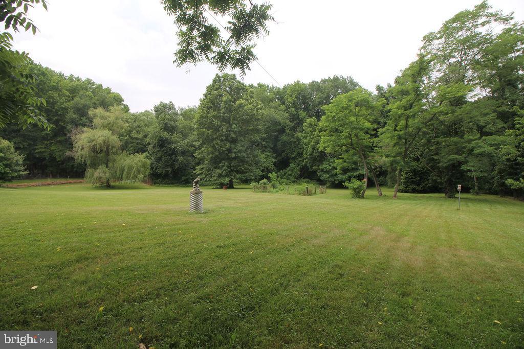 555 Fingerboard Schoolhouse Road Earleville, MD 21919 - Photo 57 of 69 Back Yard