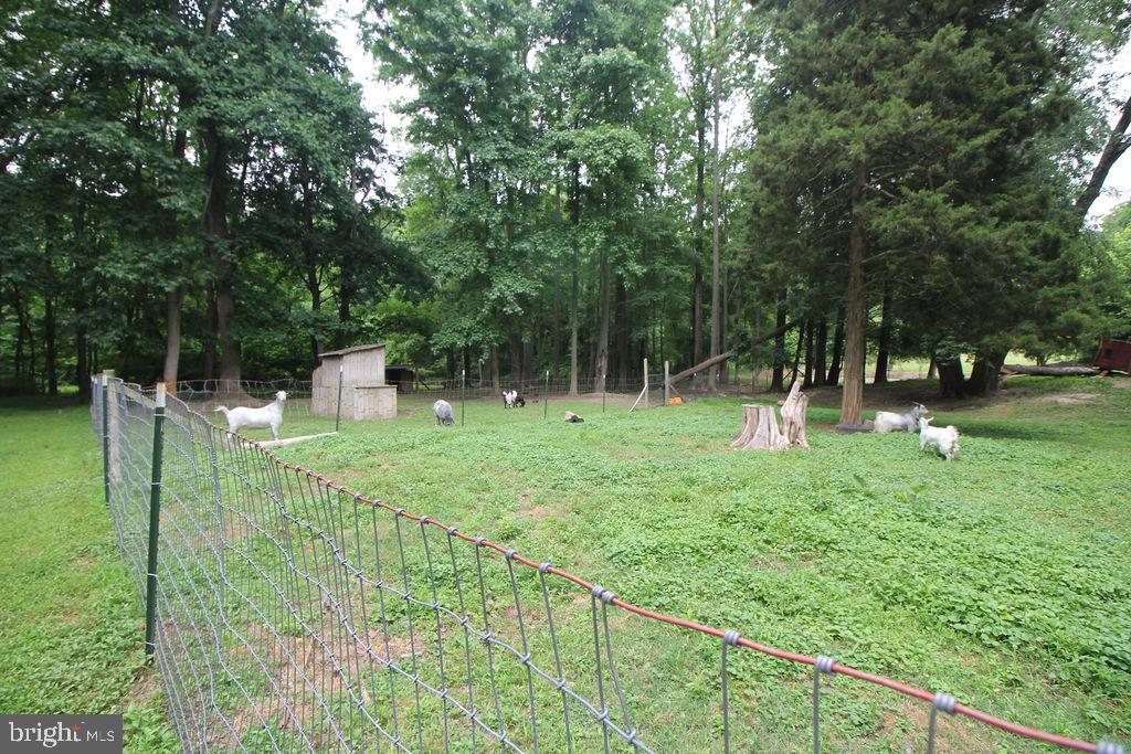 555 Fingerboard Schoolhouse Road Earleville, MD 21919 - Photo 66 of 69 Goat Pen