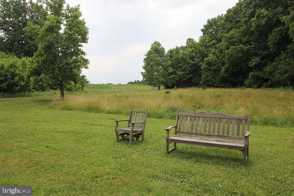 555 Fingerboard Schoolhouse Road Earleville, MD 21919 - Photo 68 of 69 Yard