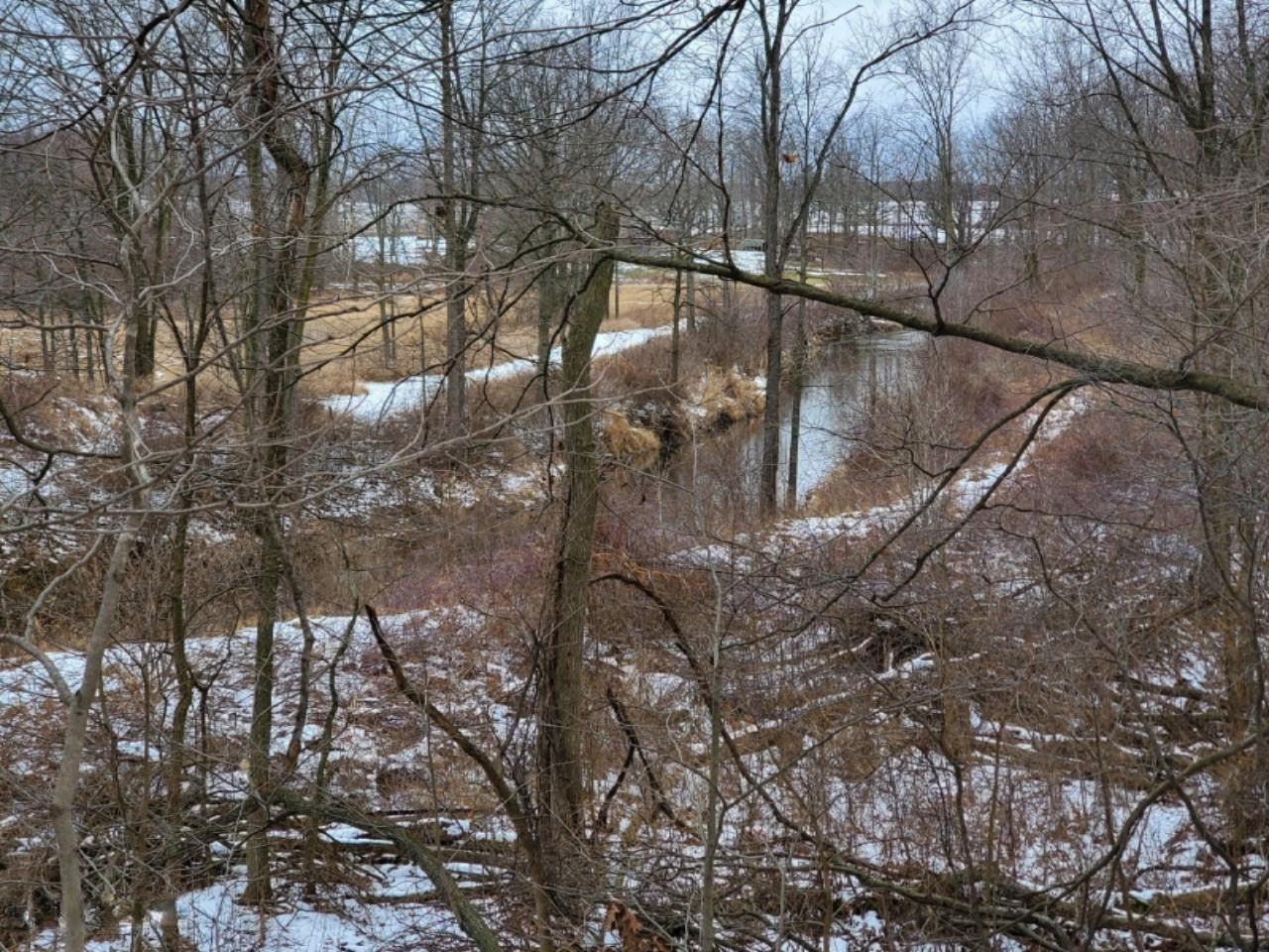 Usborne Road, Unit PARCEL 1 Freeport, MI 49325 - Photo 3 of 10 7