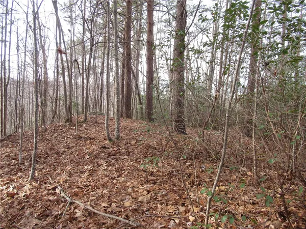 $15,000 | 0 Lone Rock Court, Pickens, SC 29671