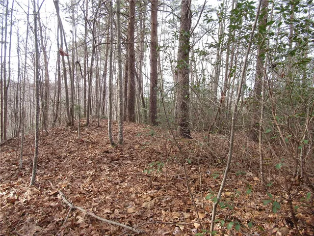 $15,000 | 0 Lone Rock Court, Pickens, SC 29671