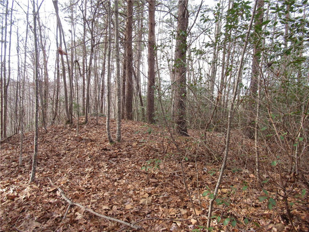 0 Lone Rock Court Pickens, SC 29671 - Photo 11 of 38