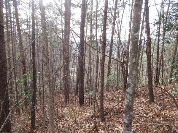 $15,000 | 0 Lone Rock Court, Pickens, SC 29671