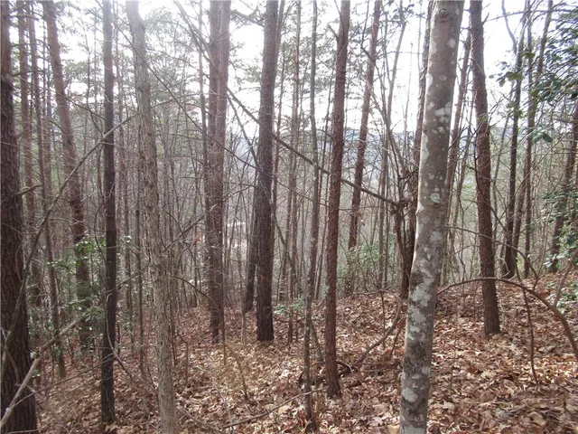 $15,000 | 0 Lone Rock Court, Pickens, SC 29671