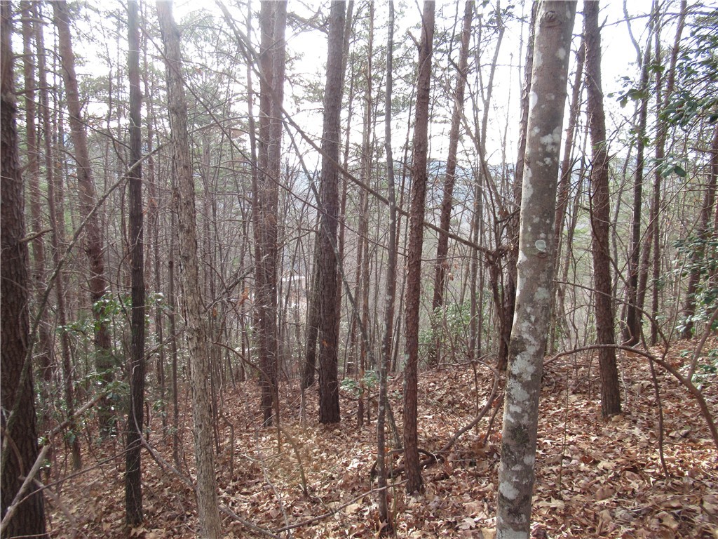 0 Lone Rock Court Pickens, SC 29671 - Photo 12 of 38