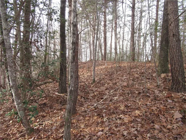 $15,000 | 0 Lone Rock Court, Pickens, SC 29671