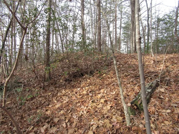 $15,000 | 0 Lone Rock Court, Pickens, SC 29671