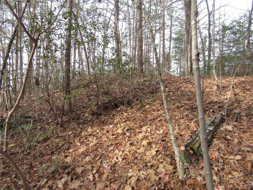 0 Lone Rock Court Pickens, SC 29671 - Photo 14 of 38