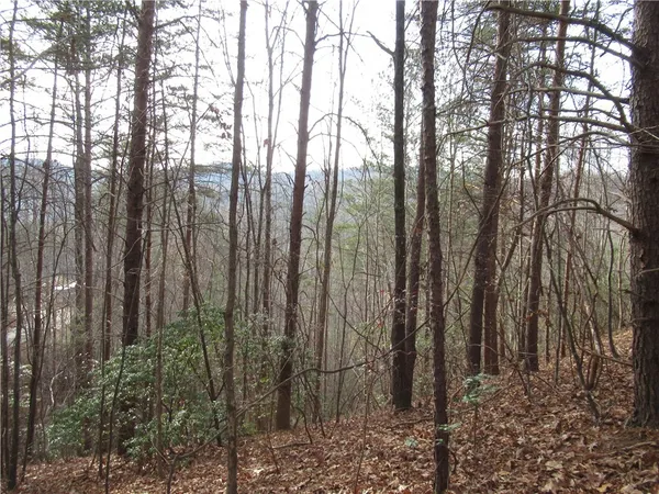 $15,000 | 0 Lone Rock Court, Pickens, SC 29671