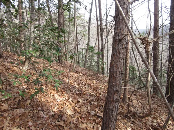 $15,000 | 0 Lone Rock Court, Pickens, SC 29671