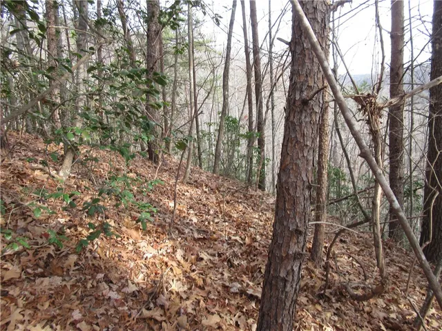 $15,000 | 0 Lone Rock Court, Pickens, SC 29671