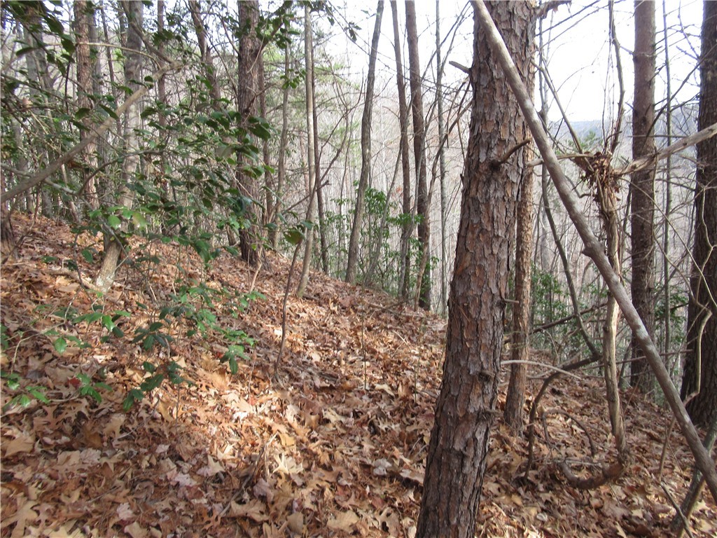 0 Lone Rock Court Pickens, SC 29671 - Photo 16 of 38