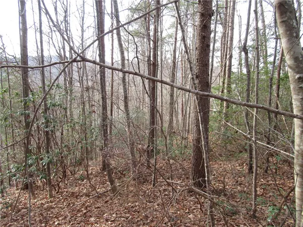 $15,000 | 0 Lone Rock Court, Pickens, SC 29671