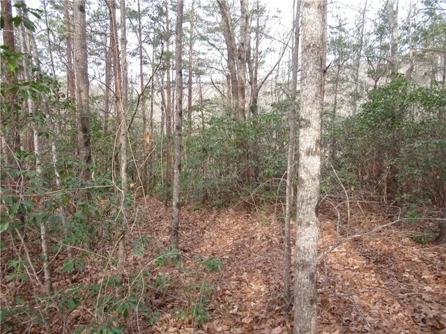 $15,000 | 0 Lone Rock Court, Pickens, SC 29671