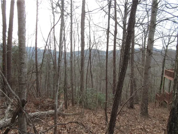 $15,000 | 0 Lone Rock Court, Pickens, SC 29671