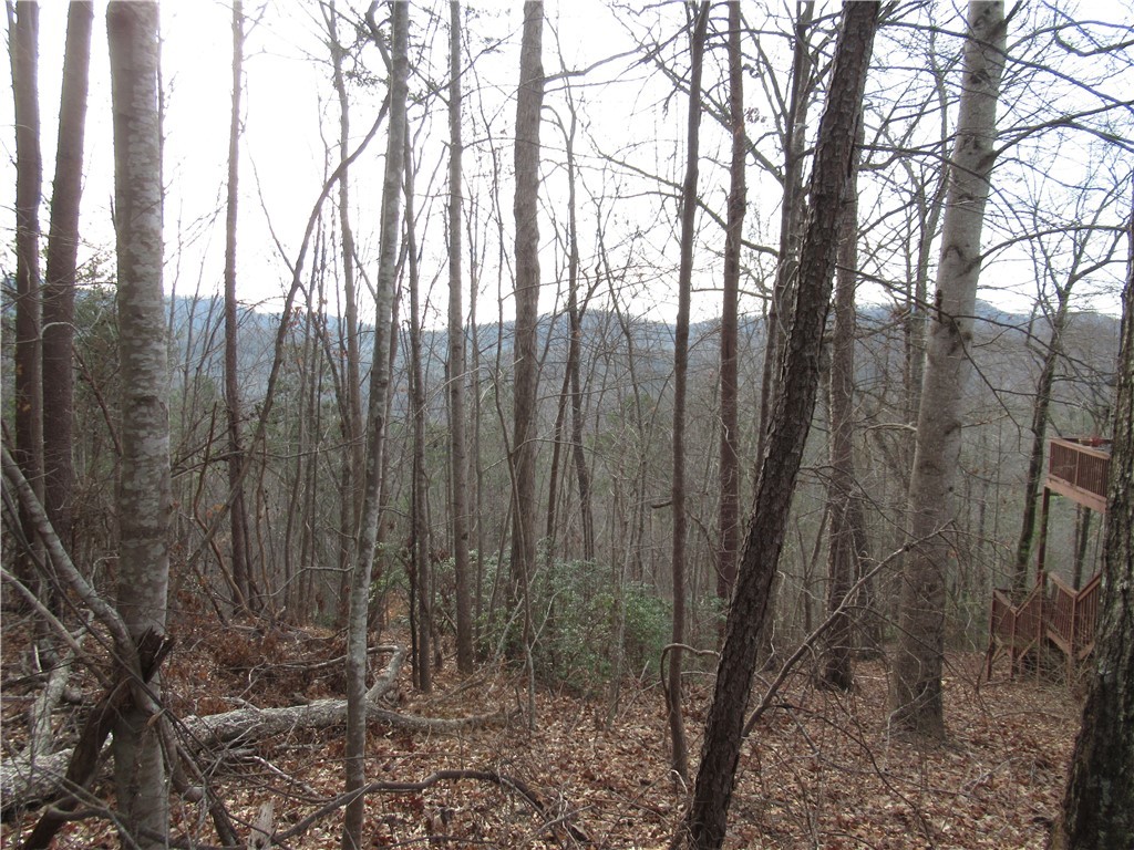 0 Lone Rock Court Pickens, SC 29671 - Photo 2 of 38
