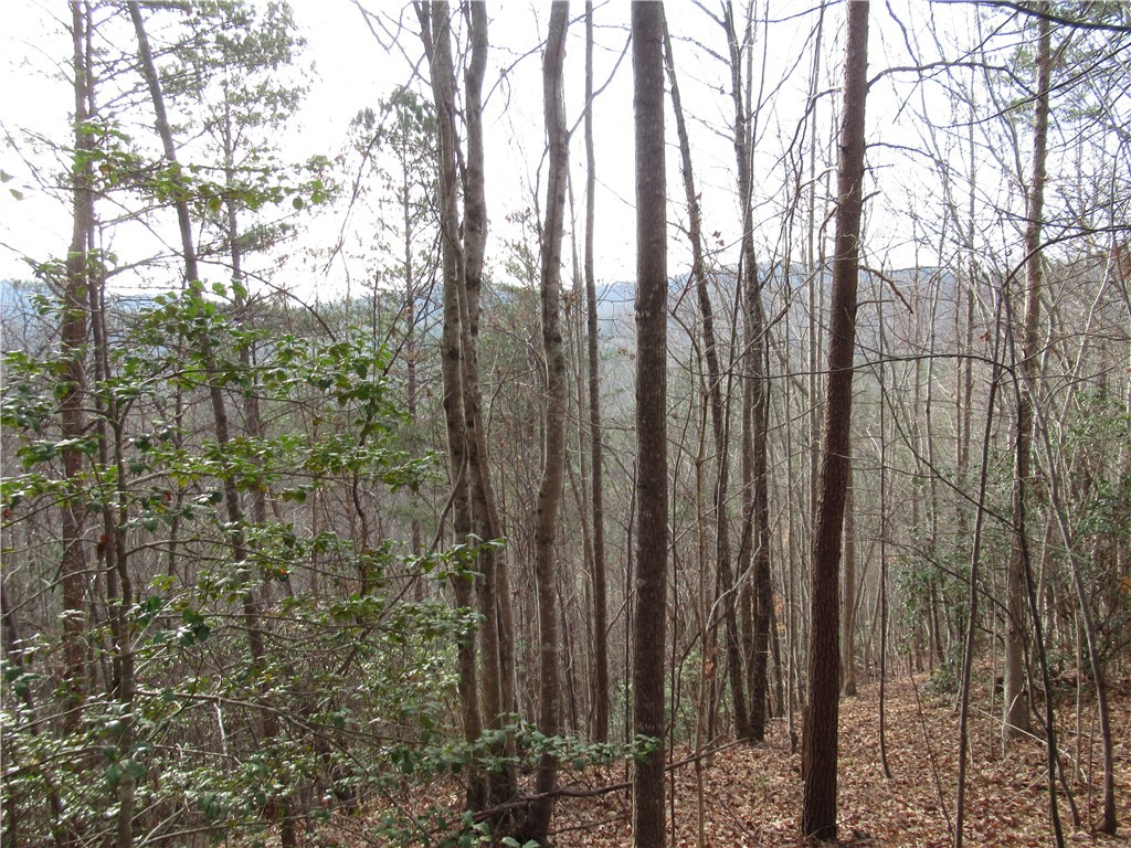 0 Lone Rock Court Pickens, SC 29671 - Photo 21 of 38