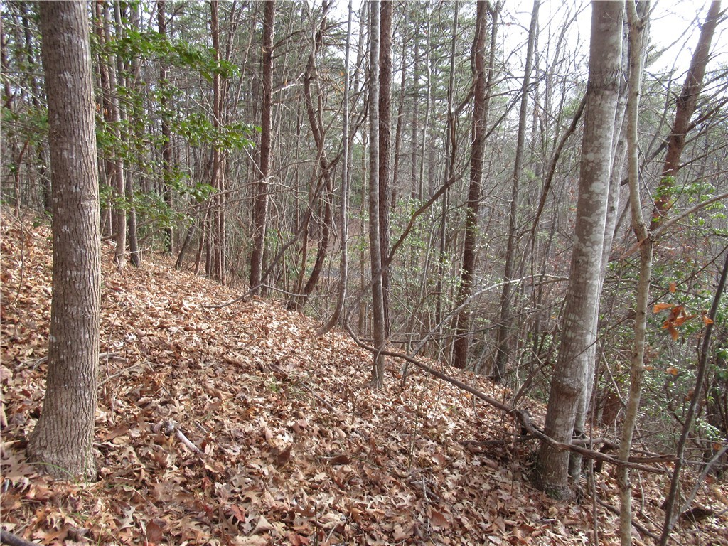 0 Lone Rock Court Pickens, SC 29671 - Photo 24 of 38