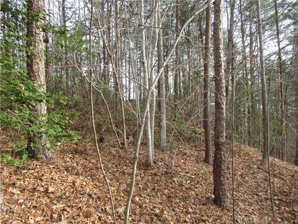 $15,000 | 0 Lone Rock Court, Pickens, SC 29671