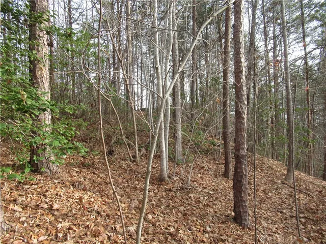 $15,000 | 0 Lone Rock Court, Pickens, SC 29671