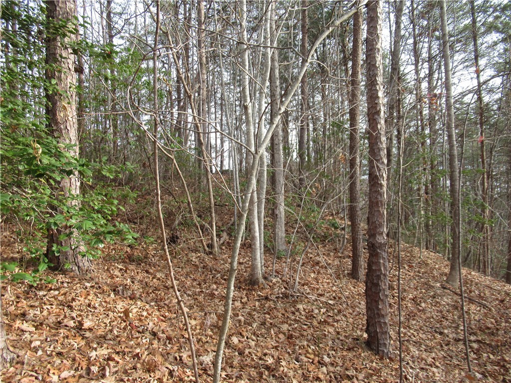 0 Lone Rock Court Pickens, SC 29671 - Photo 25 of 38