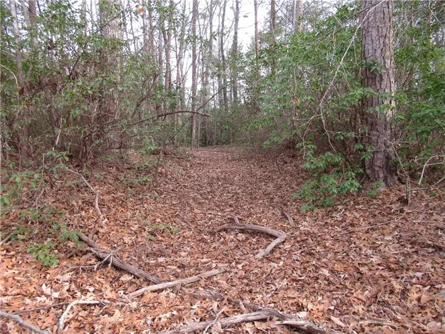 $15,000 | 0 Lone Rock Court, Pickens, SC 29671