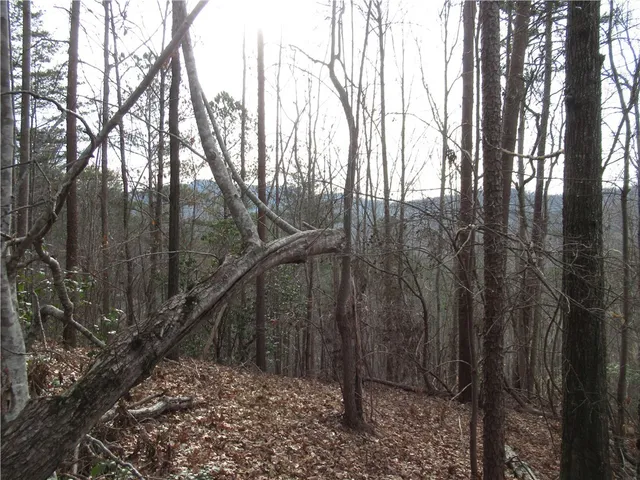 $15,000 | 0 Lone Rock Court, Pickens, SC 29671