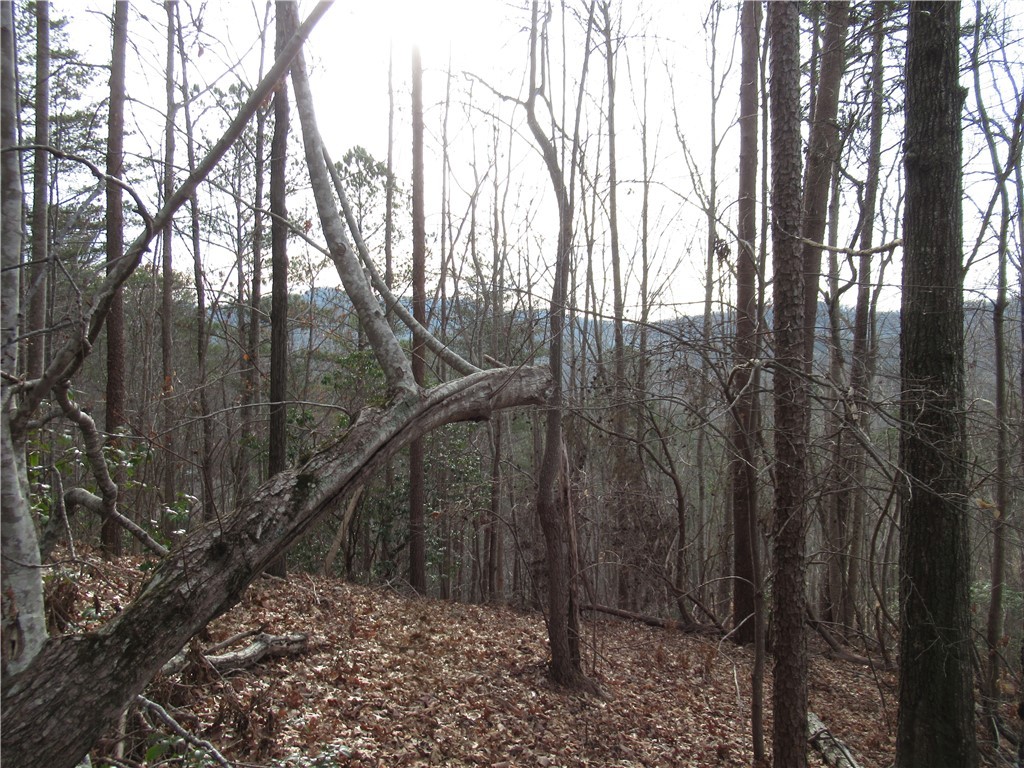 0 Lone Rock Court Pickens, SC 29671 - Photo 4 of 38