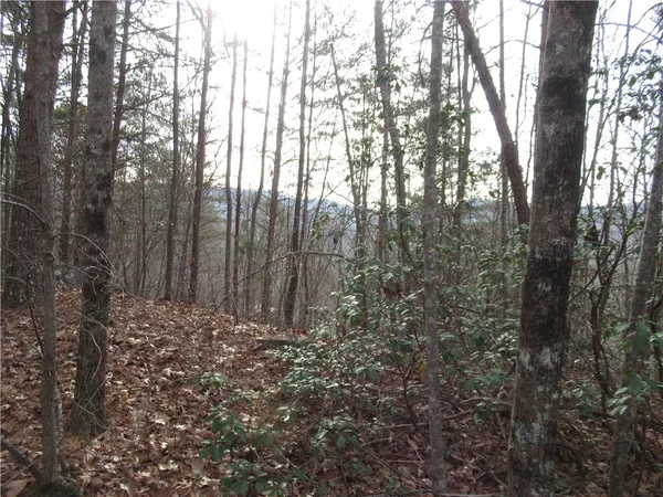 $15,000 | 0 Lone Rock Court, Pickens, SC 29671