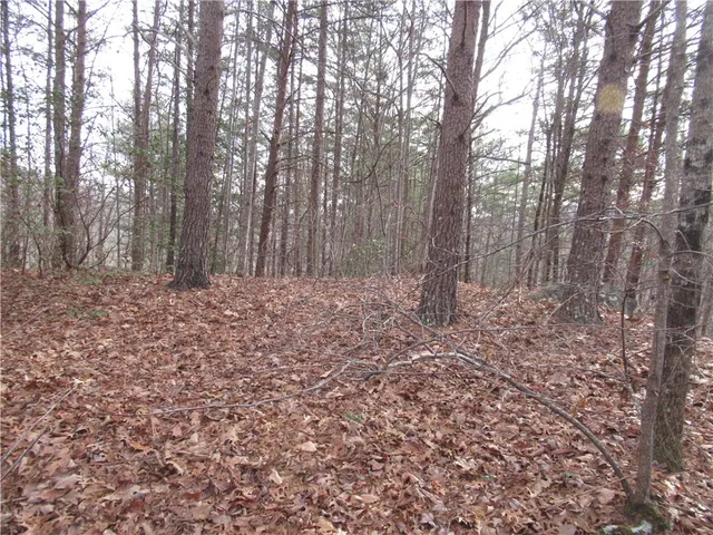 $15,000 | 0 Lone Rock Court, Pickens, SC 29671