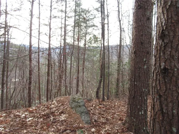 $15,000 | 0 Lone Rock Court, Pickens, SC 29671