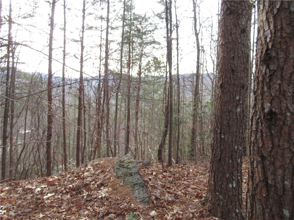 0 Lone Rock Court Pickens, SC 29671 - Photo 7 of 38