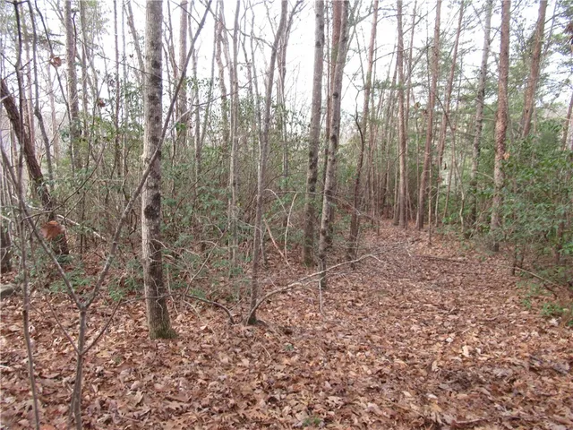 $15,000 | 0 Lone Rock Court, Pickens, SC 29671