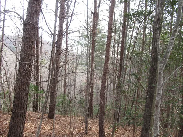 $15,000 | 0 Lone Rock Court, Pickens, SC 29671