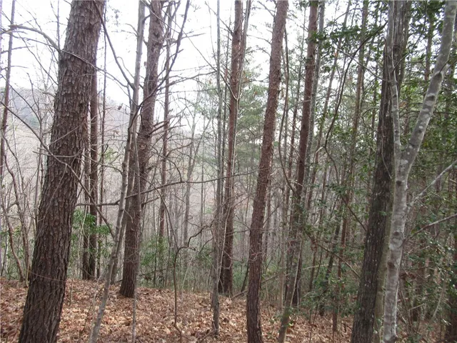 $15,000 | 0 Lone Rock Court, Pickens, SC 29671