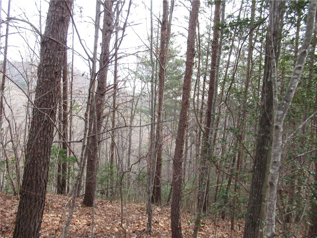 0 Lone Rock Court Pickens, SC 29671 - Photo 9 of 38