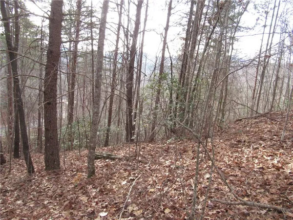 $15,000 | 0 Lone Rock Court, Pickens, SC 29671