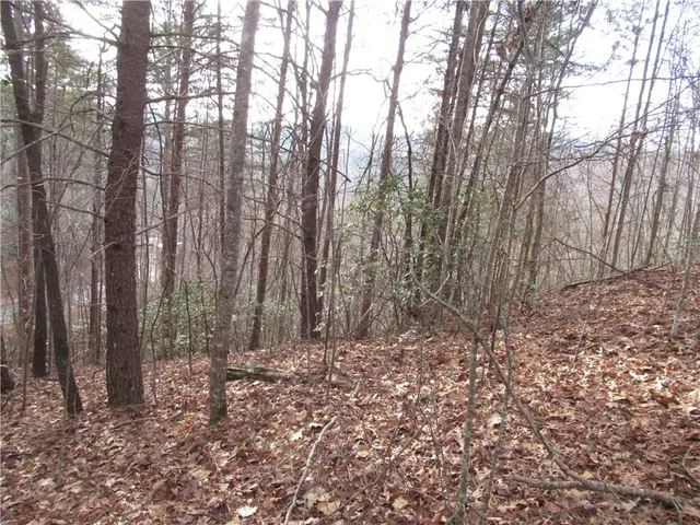 $15,000 | 0 Lone Rock Court, Pickens, SC 29671