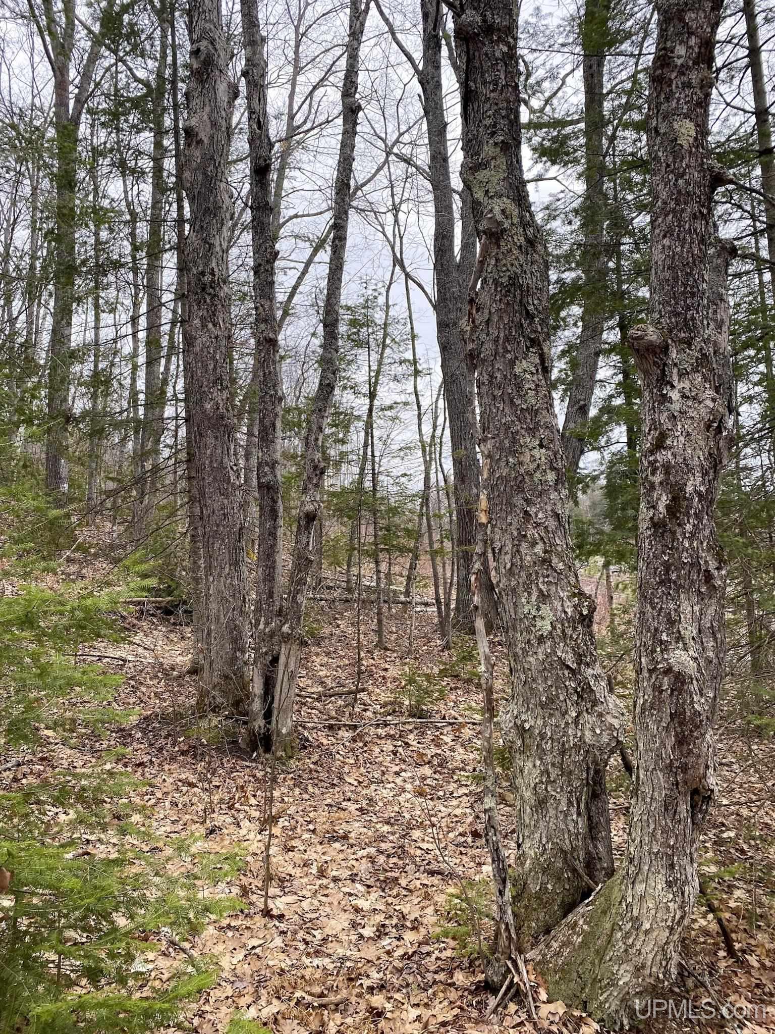 Tbd Tbd County Road Ishpeming, MI 49849 - Photo 7 of 24