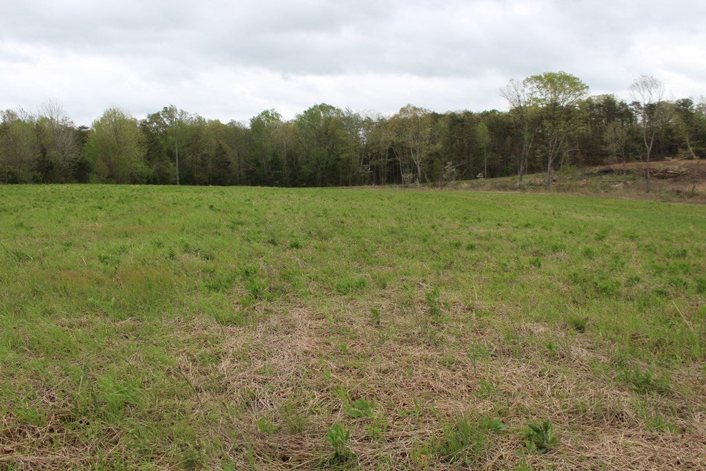 635 Pleasant Valley Road, Unit 2 Farmville, VA 23901 - Photo 8 of 11 Gallery Image 8