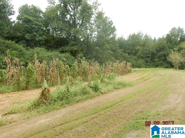 6326 Pleasantfield Road Oakman, AL 35579 - Photo 13 of 17