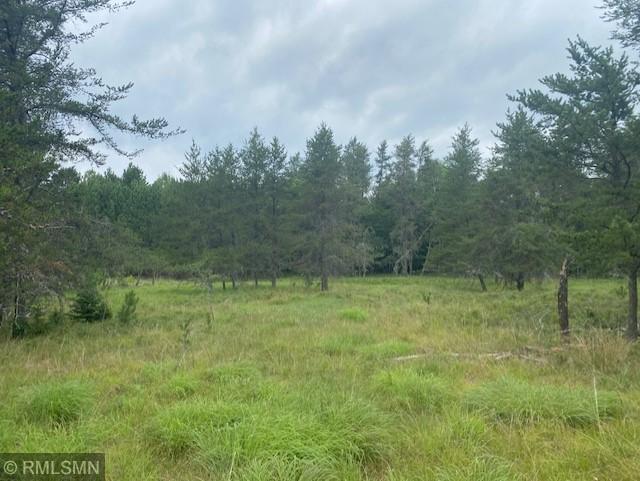 Xxx Leader Lake Road Minong, WI 54859 - Photo 1 of 1 Gallery Image 1