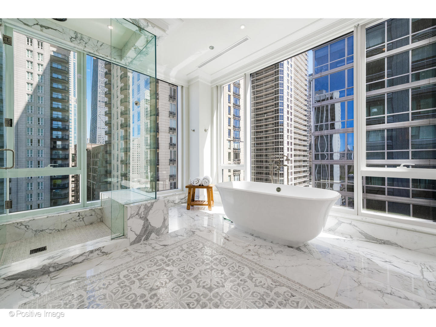 9 West Walton Street, Unit 1501 Chicago, IL 60610 - Photo 29 of 37 a view of back yard of the house