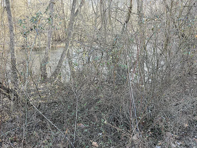 $2,000,000 | 0 North Baltimore Road, Monrovia, IN 46157